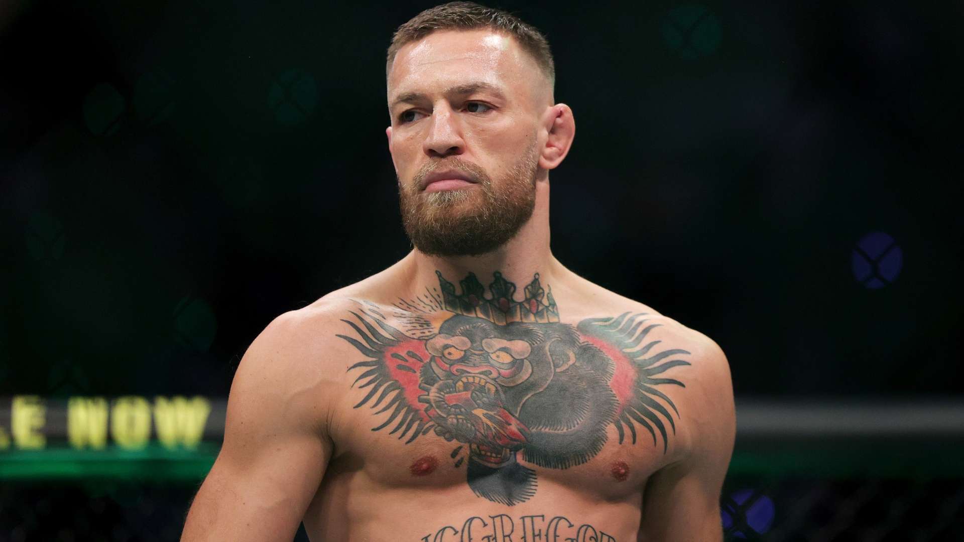 接踵而至 接踵而至